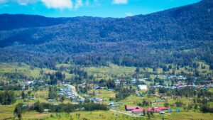 green trees and houses under blue sky during daytime