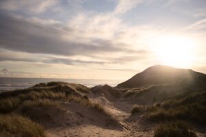 green grass on brown sand under white clouds during daytime